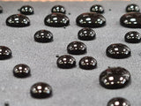 ASGARD Hydrophobic Stain & Soil Repellent